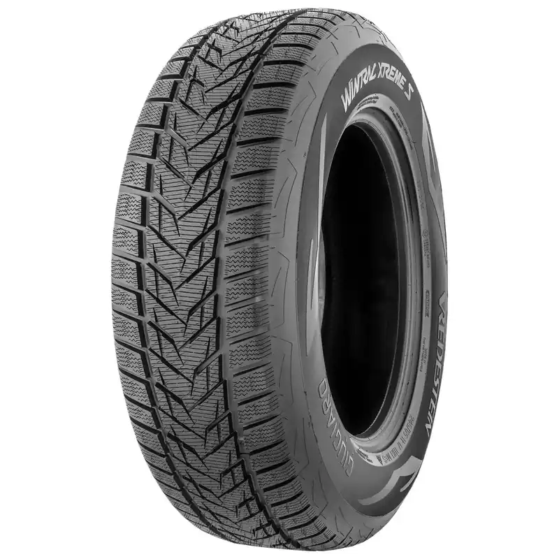 VREDESTEIN WINTRAC XTREME S 255/50R19 107V XL FSL Solange Der Vorrat Reicht